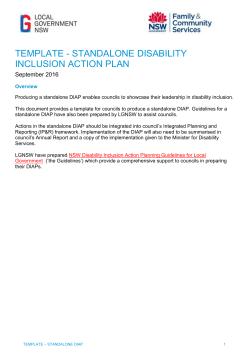 Template - Standalone DIAP (Word, 890KB)