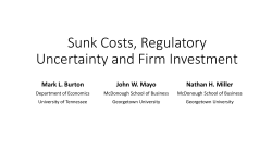 Sunk Costs, Regulatory Uncertainty and Firm Investment