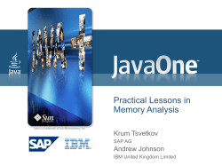 09J1 template, PPT2003/Windows