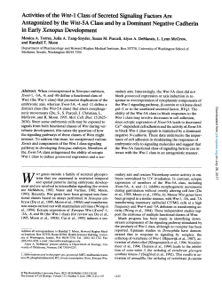 Activities of the Wnt-1 Class of Secreted Signaling Factors Are