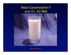 Beta-Casomorphin-7 and A1, A2 Milk