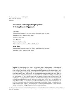 Executable Modeling of Morphogenesis: A Turing