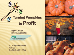 Marketing Opportunities: How to Turn Your Pumpkins into Profit