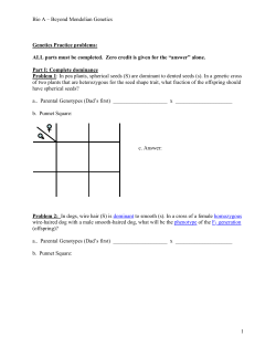 Genetics Practice problems: