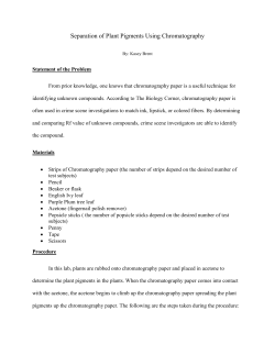 Chromotography Paper Examplar