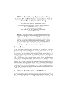 Efficient Evolutionary Optimization Using Individual