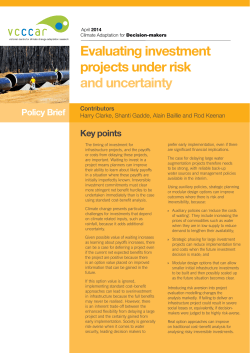 Evaluating investment projects under risk and uncertainty