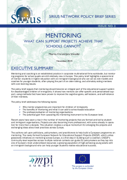 Mentoring: What can support projects achieve that schools cannot?