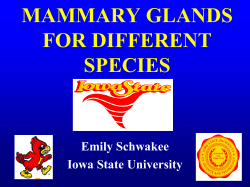 mammary glands for different species - anslab.iastate.edu