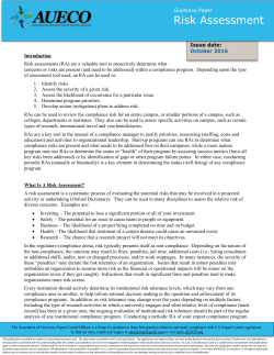 AUECO Risk Assessment Document