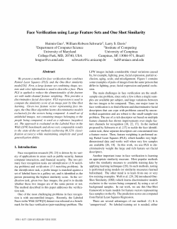 Face Verification using Large Feature Sets and One Shot Similarity