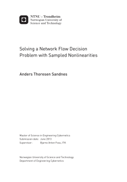 Solving a Network Flow Decision Problem with