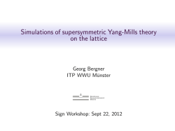 Simulations of supersymmetric Yang