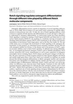 Notch signaling regulates osteogenic differentiation through different