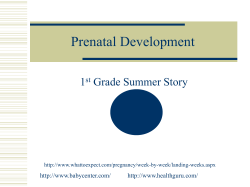 Prenatal Development ppt