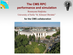 RPC_CMS_simulation_v3