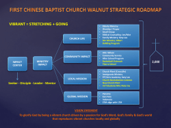 Leader - Mentor FCBC Walnut Strategic Roadmap IMPACT