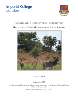 INVESTIGATING CONSERVATION CONFLICTS IN MUSALANGU