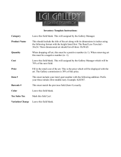 Inventory Template Instructions: Category Leave this field blank