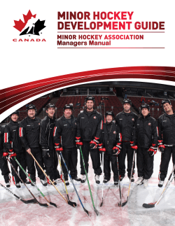 Team Manager`s Manual