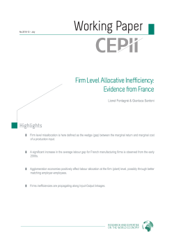 Firm Level Allocative Inefficiency: Evidence from France