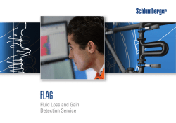 FLAG Fluid Loss and Gain Detection Brochure