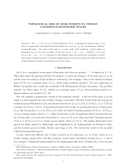 TOPOLOGICAL SIZE OF SOME SUBSETS IN CERTAIN CALDER