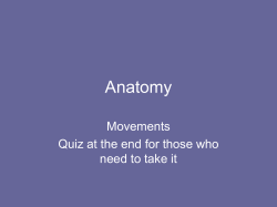 2 Anatomy movements - PA