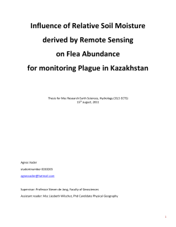 Influence of Relative Soil Moisture derived by Remote Sensing on
