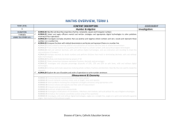 maths overview, term 1