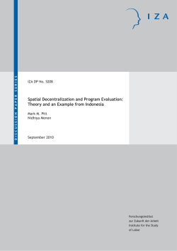 Spatial Decentralization and Program Evaluation: Theory and an