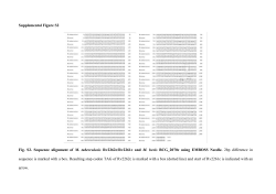 Supplemental Figure S2