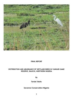 FINAL REPORT DISTRIBUTION AND ABUNDANCE OF WETLAND