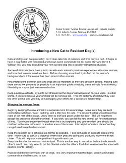 Microsoft Word - intro cats to cats.doc