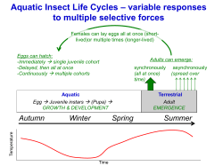 (all at once) (spread over time)