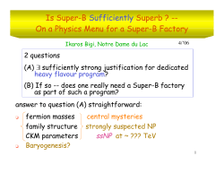 Is Super-B Sufficiently Superb ? -- On a Physics Menu for a Super