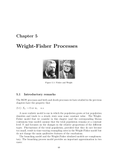 Wright-Fisher Processes