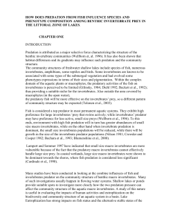 Ernest project for review 2010