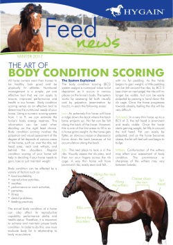 Click on the photo of the Feed News to your free