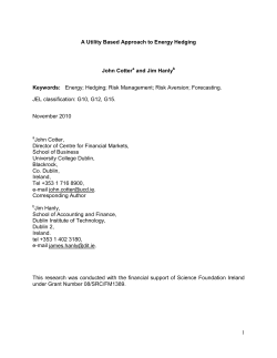 1 A Utility Based Approach to Energy Hedging John Cotter and Jim