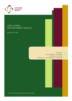 Investigative Strategy - International Competition Network