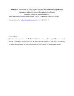 Endophytic Nocardiopsis sp. from Zingiber officinale with both