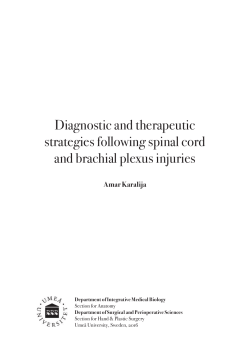 Diagnostic and therapeutic strategies following spinal