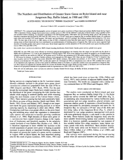The Numbers and Distribution of Greater Snow Geese on Bylot