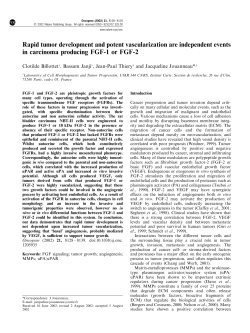 Rapid tumor development and potent vascularization are