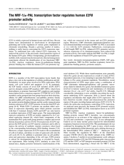 The NRF-1/α-PAL transcription factor regulates human E2F6