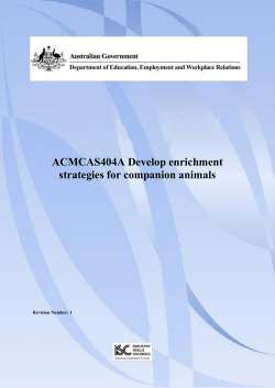 ACMCAS404A Develop enrichment strategies for