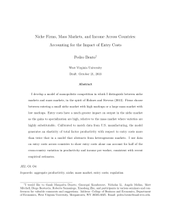 Niche Firms, Mass Markets, and Income Across Countries