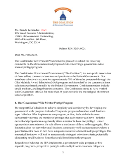 Ms. Brenda Fernandez Draft U.S. Small Business Administration