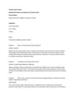 Criminal Justice Theory Explaining the Nature and Behavior of